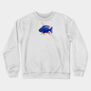 African Cichlid Fish Crewneck Sweatshirt